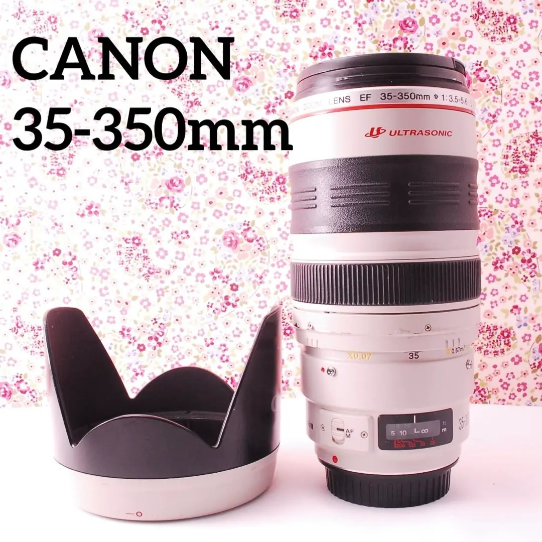 2025年最新】Canon レンズ EF 35-350 3.5-5.6 Lの人気アイテム