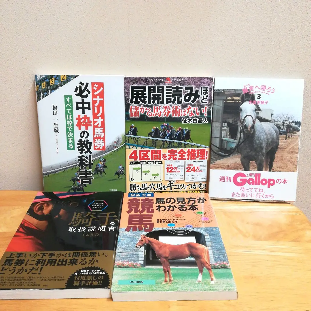 【中古】 伊藤友康の儲かる競馬 プロが教える勝負のしかた/ノラブックス/伊藤友康 中古】 伊藤友康の儲かる競馬 プロが教える勝負のしかた/ノラ