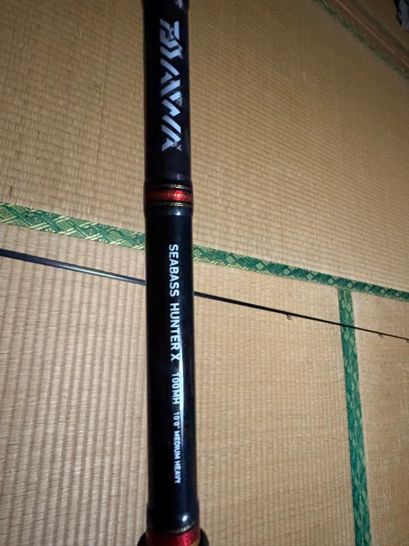 シーバスハンターX　100MH（SB HUNTER X 100MH） DAIWA（釣り） ダイワ シーバスハンターX 100ML