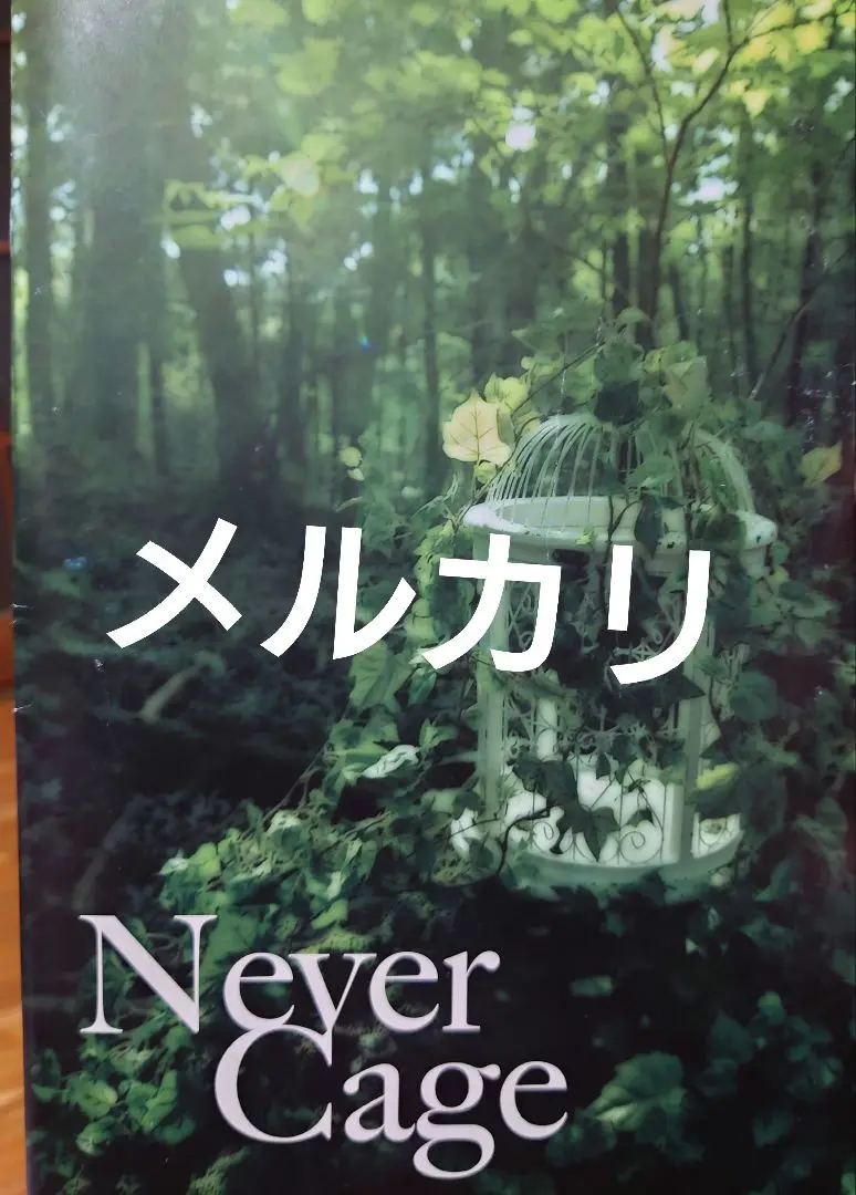 2025年最新】LAREINE Never Cageの人気アイテム - メルカリ