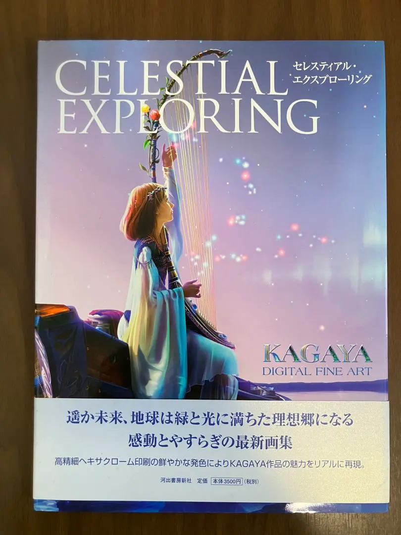 KAGAYA インフィニティ　絵画版画　保証書あり KAGAYA インフィニティ 絵画版画 保証書あり（○KAGAYA