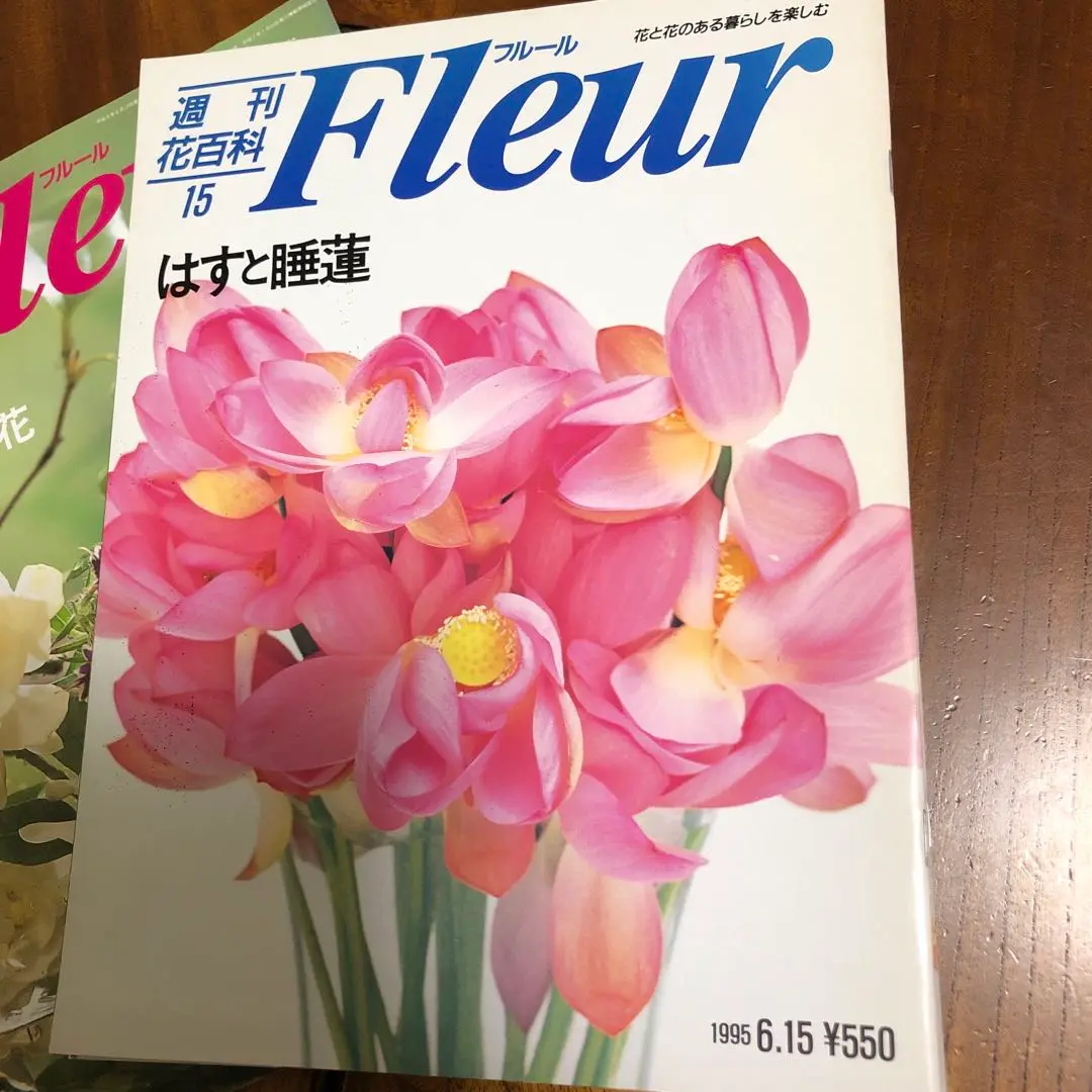 週刊 花百科 Fleur フルール全100巻
