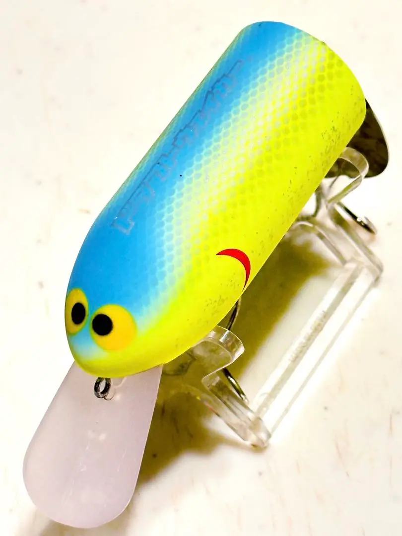 新品未使用　缶バド 予約商品」 缶バド - Knoxville Online Shop