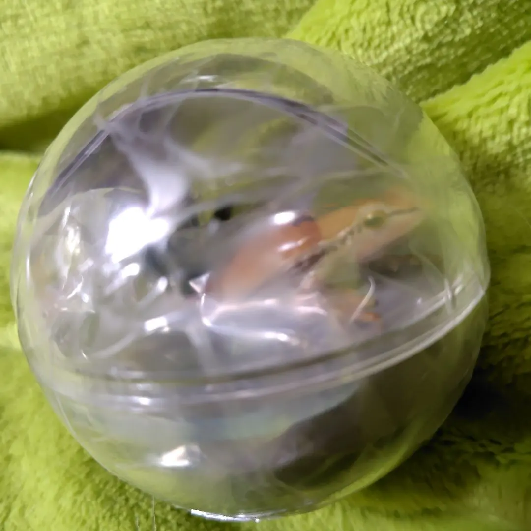 Thumbnail of Caplium Collection Frog Gashapon