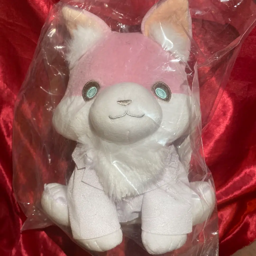 博衣こより 白衣の日 ココロ 助手くん ぬいぐるみ Amazon.co.jp: ココロ⇄助手くんぬいぐるみ 博衣こより 博衣の日