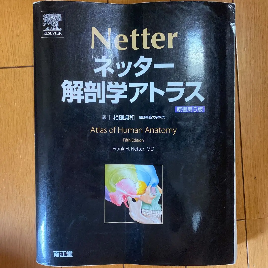 ネッター 解剖学アトラス　原書第5版 ネッター解剖学アトラス（原書第5版）