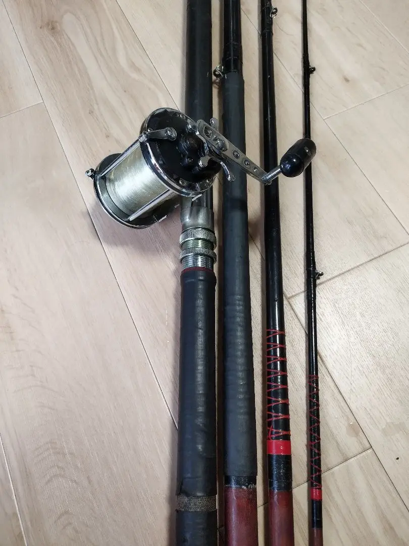 極美品！ダイワ シーライン250 石鯛　コブダイ Amazon | ダイワ(Daiwa) チヌ リール(タイコリール) シーライン