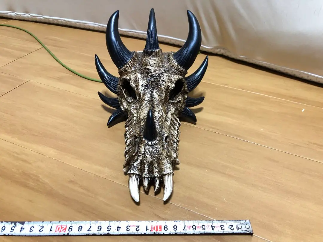 トウブハコガメ骨格標本(甲羅)赤系放射模様　剥製　爬虫類 2025年最新】爬虫類剥製の人気アイテム - メルカリ