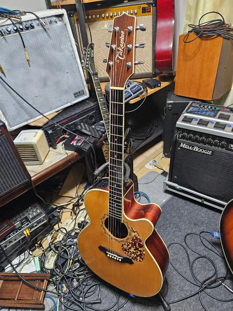 2025年最新】takamine nptの人気アイテム - メルカリ