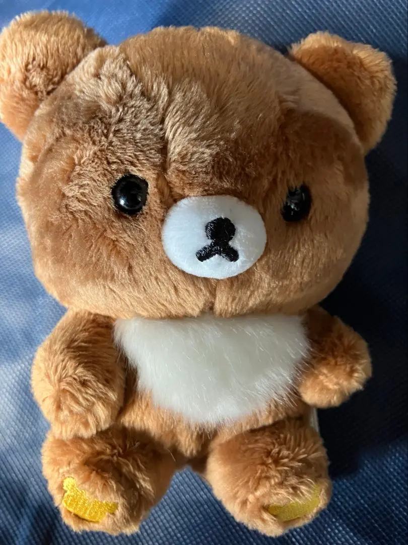 コリラックマ meets チャイロイコグマ 2019ポージングぬいぐるみ