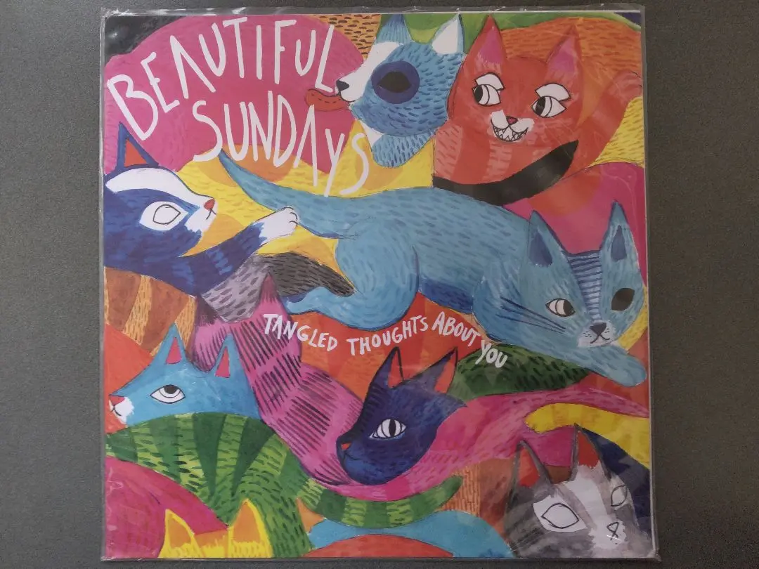 Sundays Blind 2025年US盤2LP高音質 新品 送料込 レコード Sundays Blind 2025年US盤2LP高音質 新品 送料込 レコード