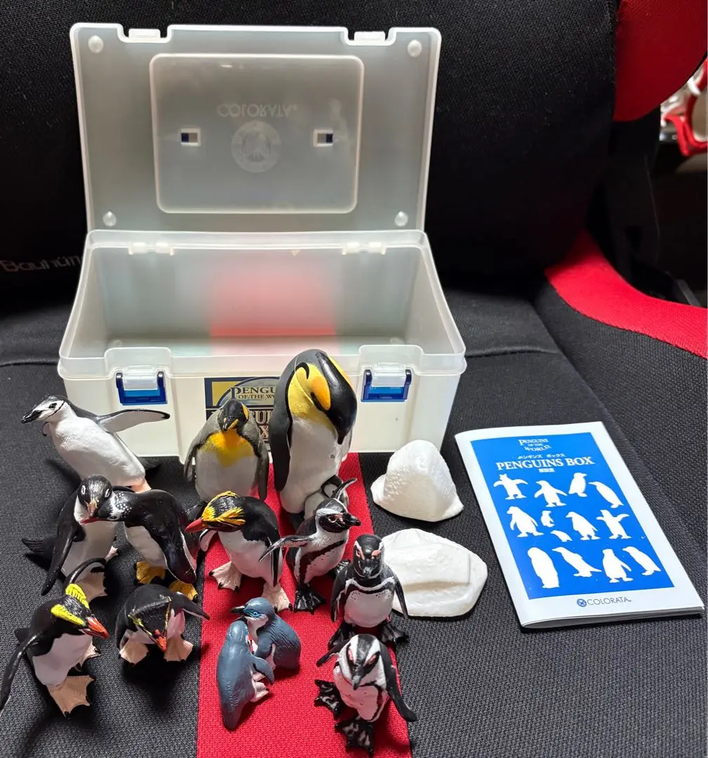 立体図鑑リアルフィギュアボックス ペンギン 2mvetro Amazon | カロラータ ペンギン 立体図鑑 (12種 13個 / 解説書