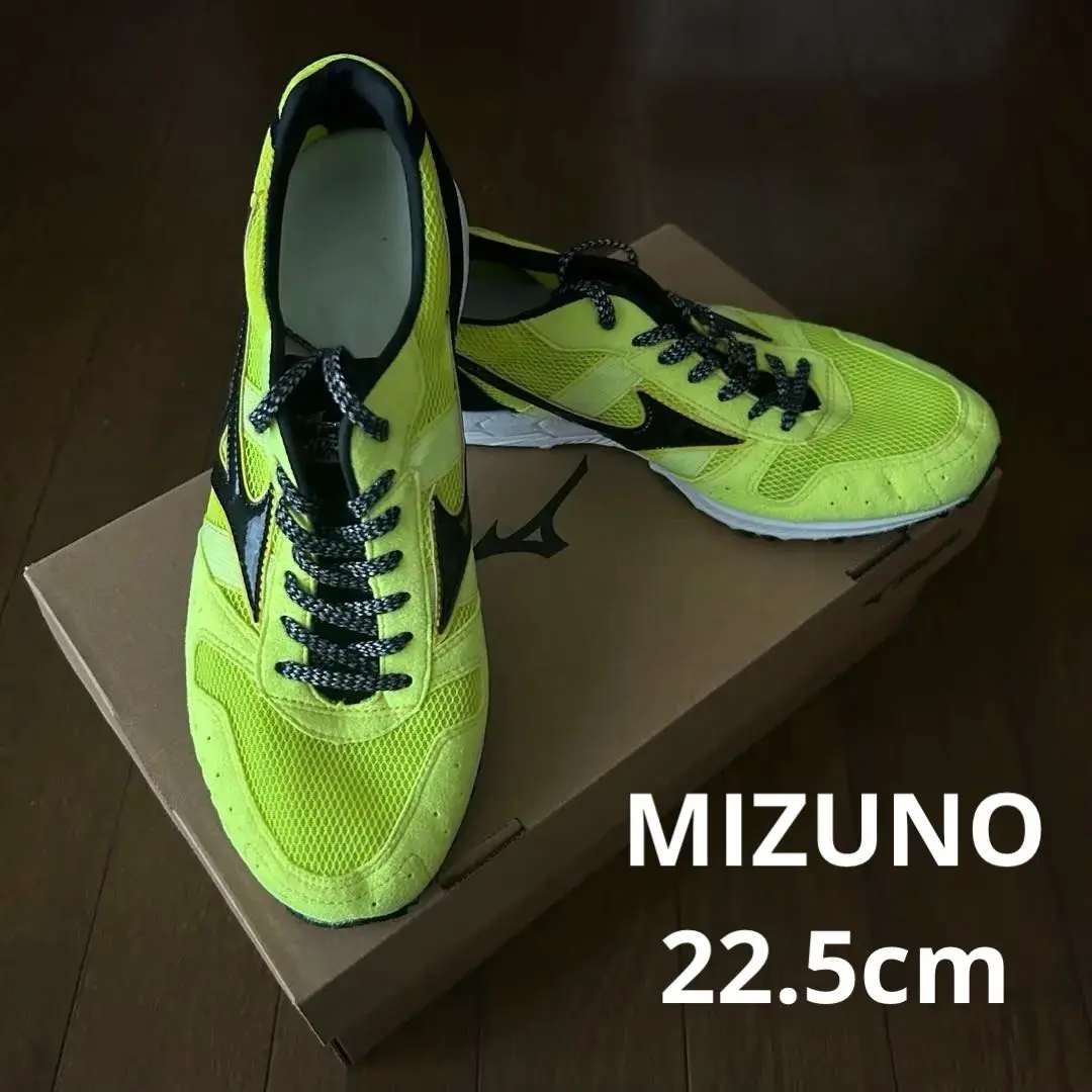 値下げしました【新品・未使用】ミズノ　ウエーブクルーズジャパン　26.0㎝ 2025年最新】mizuno ミズノ ウエーブクルーズジャパンの人気