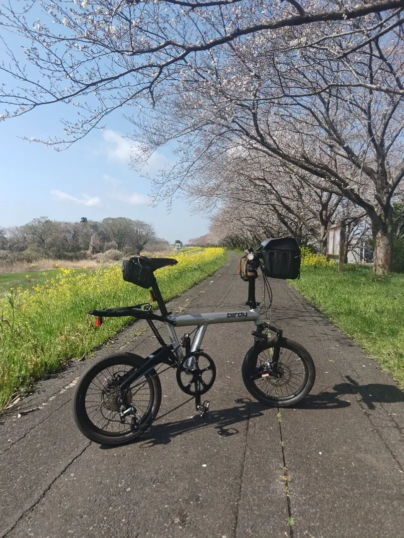 Birdy クラシックEVO折りたたみ自転車 シルバー24年11月購入 birdy Classic EVO［シルバー＆ブラック］ | トイファクトリーの