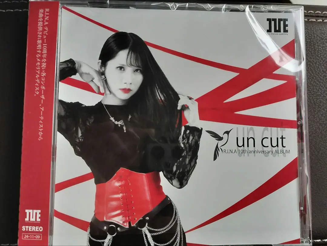 邦楽 R.I.N.A 10th anniversary ALBUM un cut 邦楽 R.I.N.A 10th anniversary ALBUM un cut R.I.N.A 10th