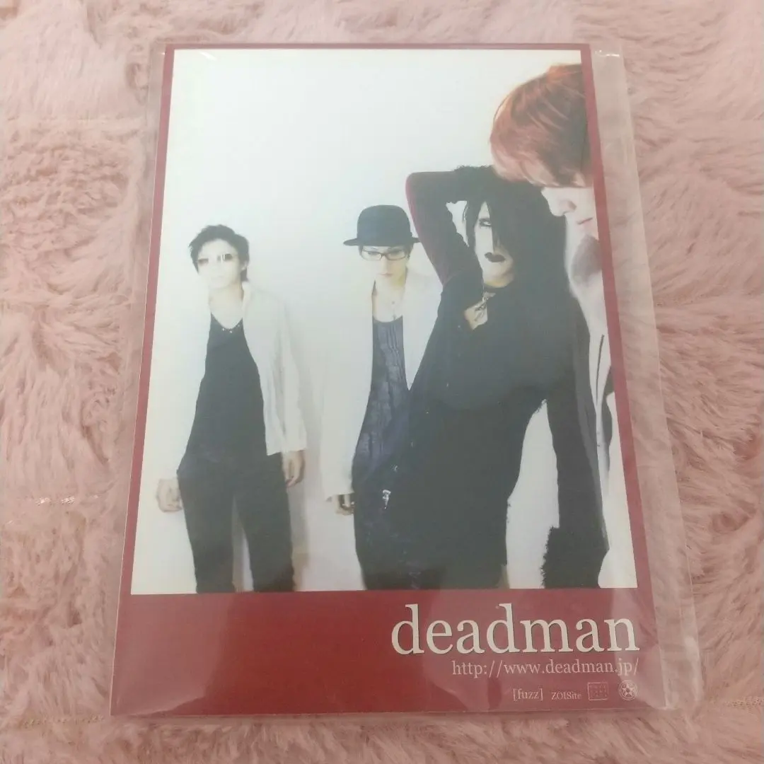 エコー/deadman眞呼チェキ Amazon.co.jp: deadman 眞呼 aie チェキ : おもちゃ