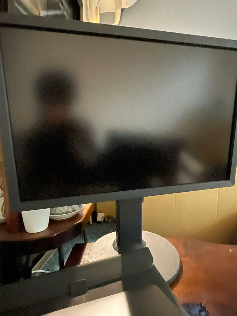 X*K様 EIZO 24.1型カラーマネジメント液晶モニター　CG2420 レンタル - EIZO(エイゾー)CG2420-Z（24.1型 カラー