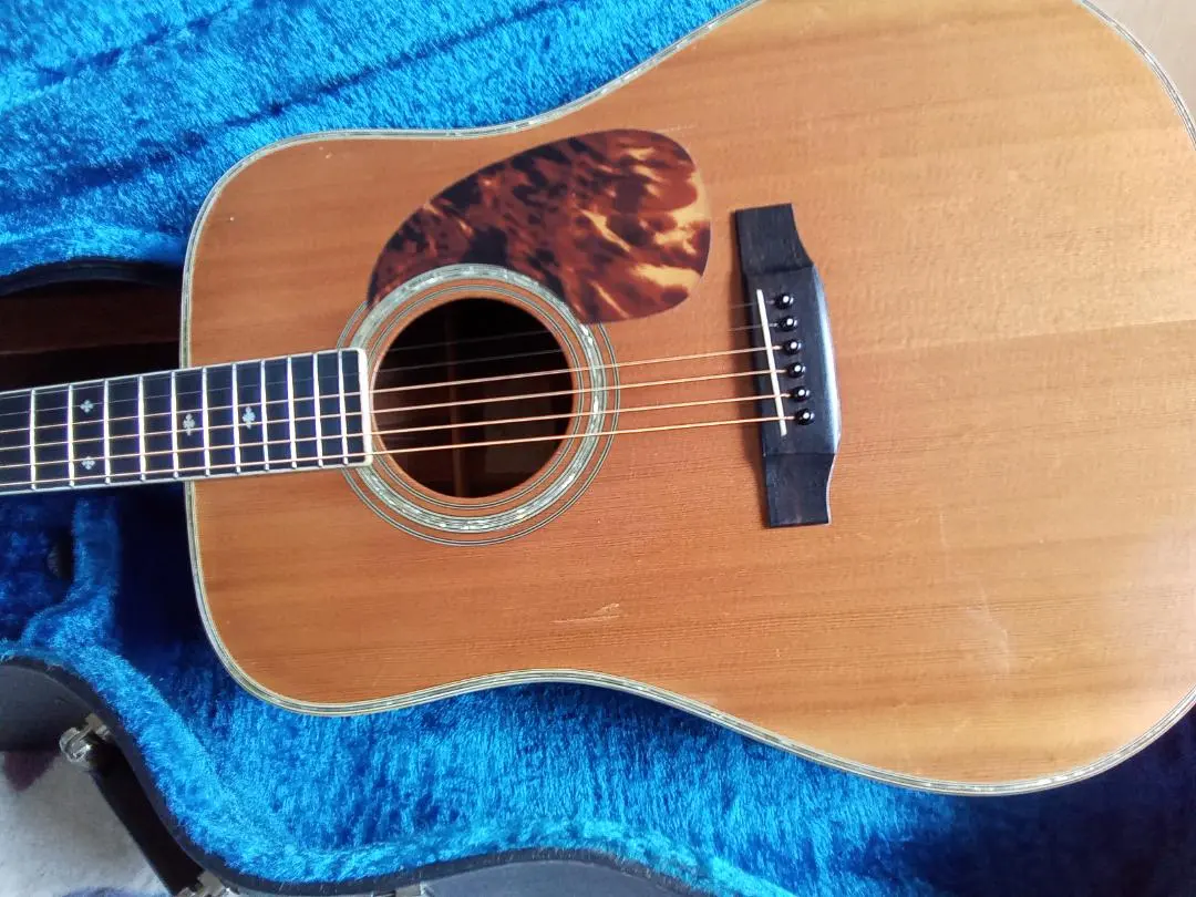 2025年最新】K.Yairi YW-500Pの人気アイテム - メルカリ