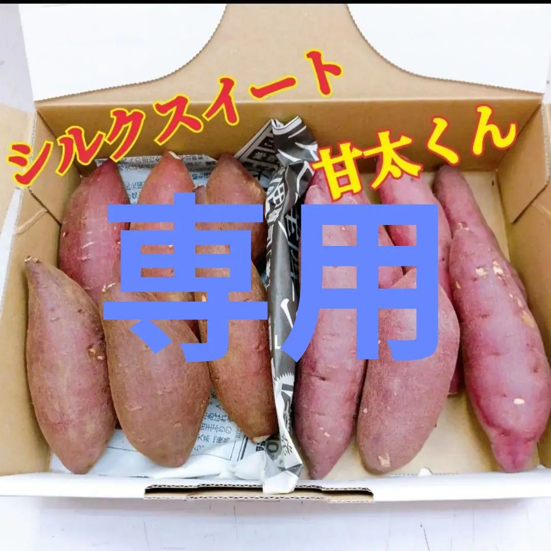 2025年最新】さつまいも 甘太くんの人気アイテム - メルカリ