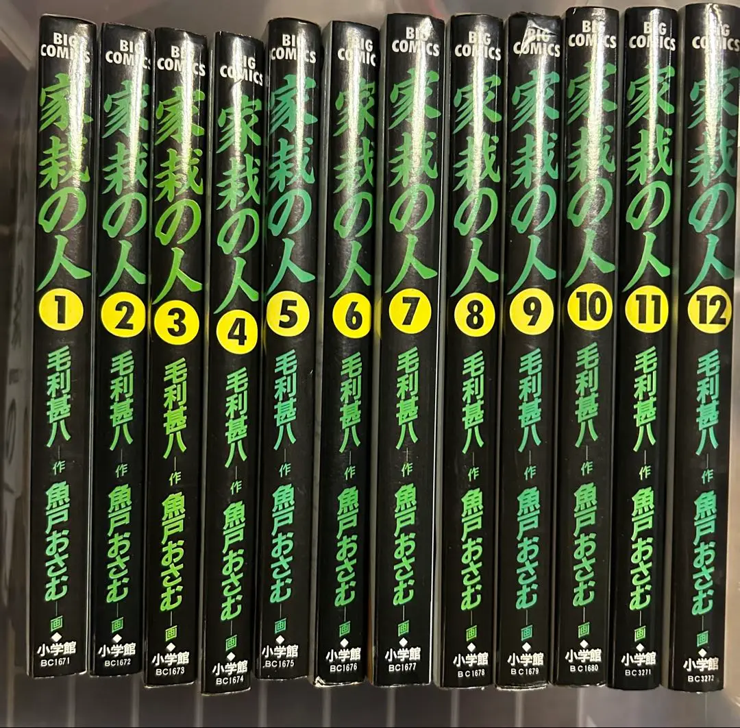 毛利甚八 魚戸おさむ 家栽の人 初版 6巻 ヒマワリ ビッグコミックス 小学館 家栽の人（6） (ビッグコミックス) | 毛利甚八, 魚戸おさむ