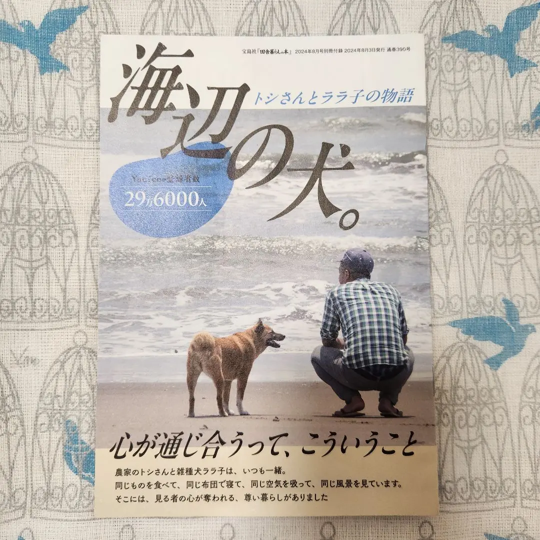 海辺の犬。トシさんとララ子の物語 海辺の犬。トシさんとララ子の物語 - メルカリ