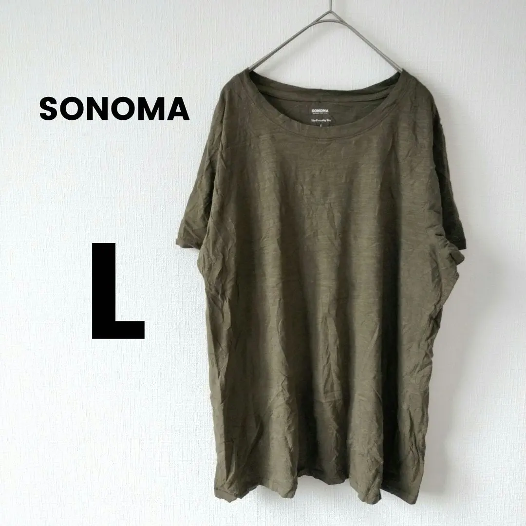 Thumbnail of SONOMA Olive Plain L 100% Cotton Simple