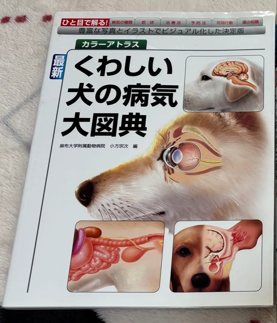 最新くわしい猫の病気大図典　動物看護コアテキストセット 最新 くわしい猫の病気大図典 | 株式会社誠文堂新光社