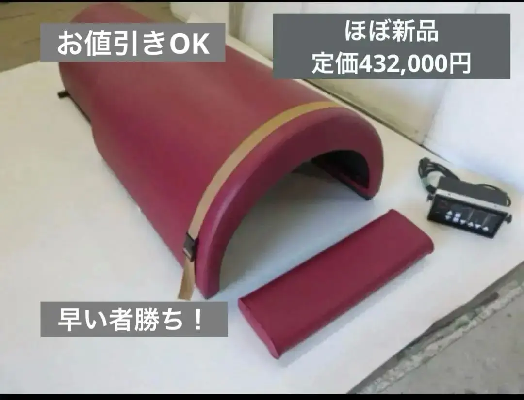 定価432,000円　サウナドーム　ほぼ新品　遠赤　スマーティ同等品 2025年最新】スマーティ ドームの人気アイテム - メルカリ