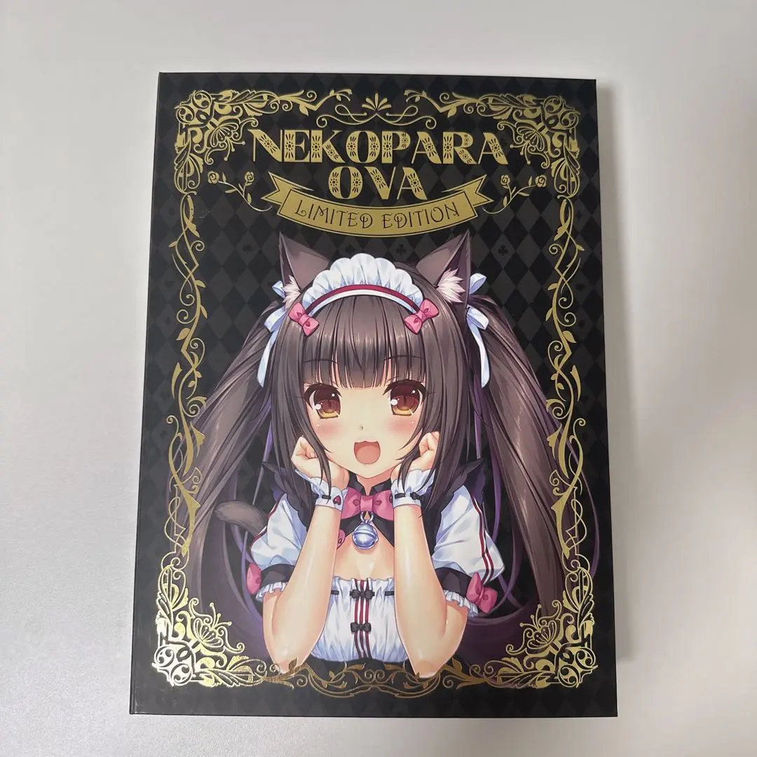 ネコぱら 画集 有償特典 A4キャラファイングラフ NEKO WORKs さより ネコぱら 画集 有償特典 A4キャラファイングラフ NEKO WORKs さより