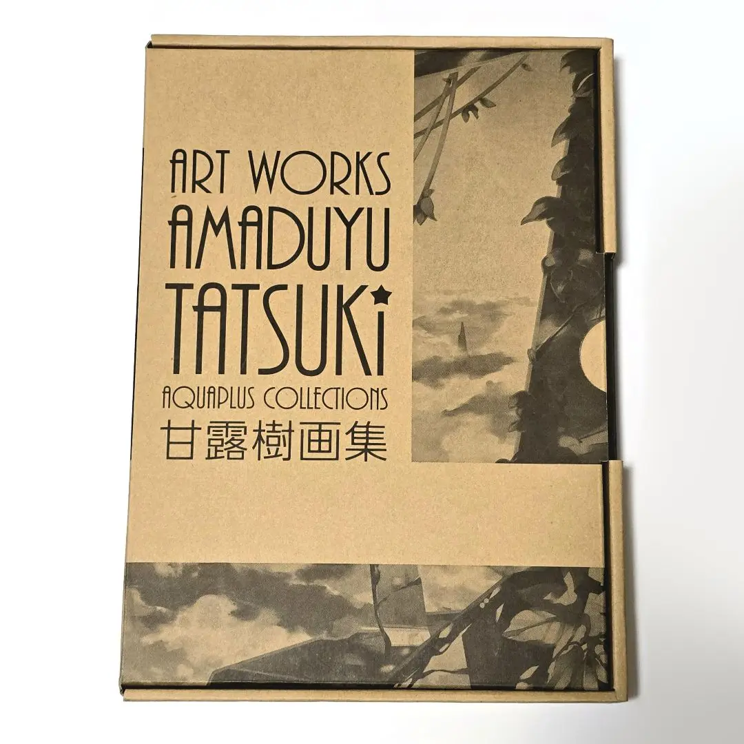 ART WORKS AMADUYU TATSUKI アートブック 61uG7I-6RUL._UF350,350_QL80_.jpg