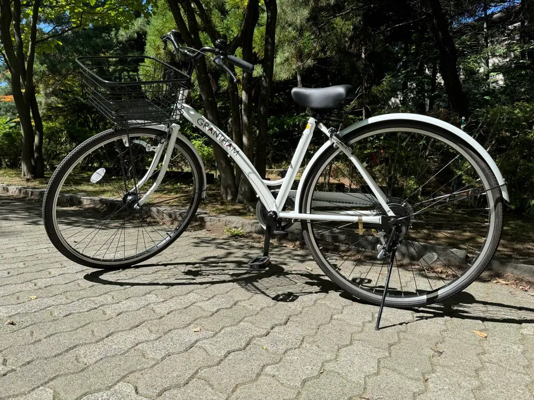 一般車 ママチャリ AZZURARE グリーン中古札幌引取り限定 2025年最新】ママチャリ 札幌の人気アイテム - メルカリ