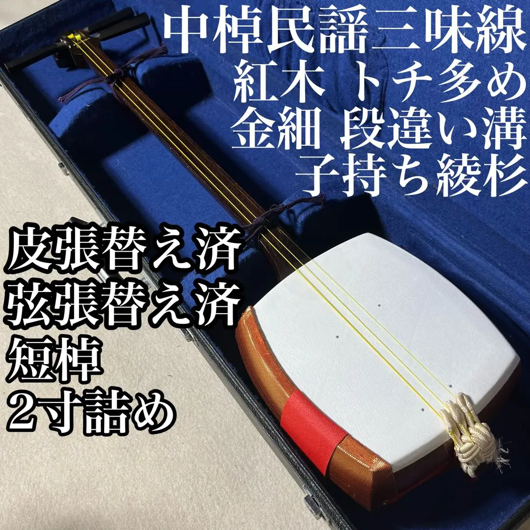 三味線 五厘大 破れなし 三味線 五厘大 破れなし