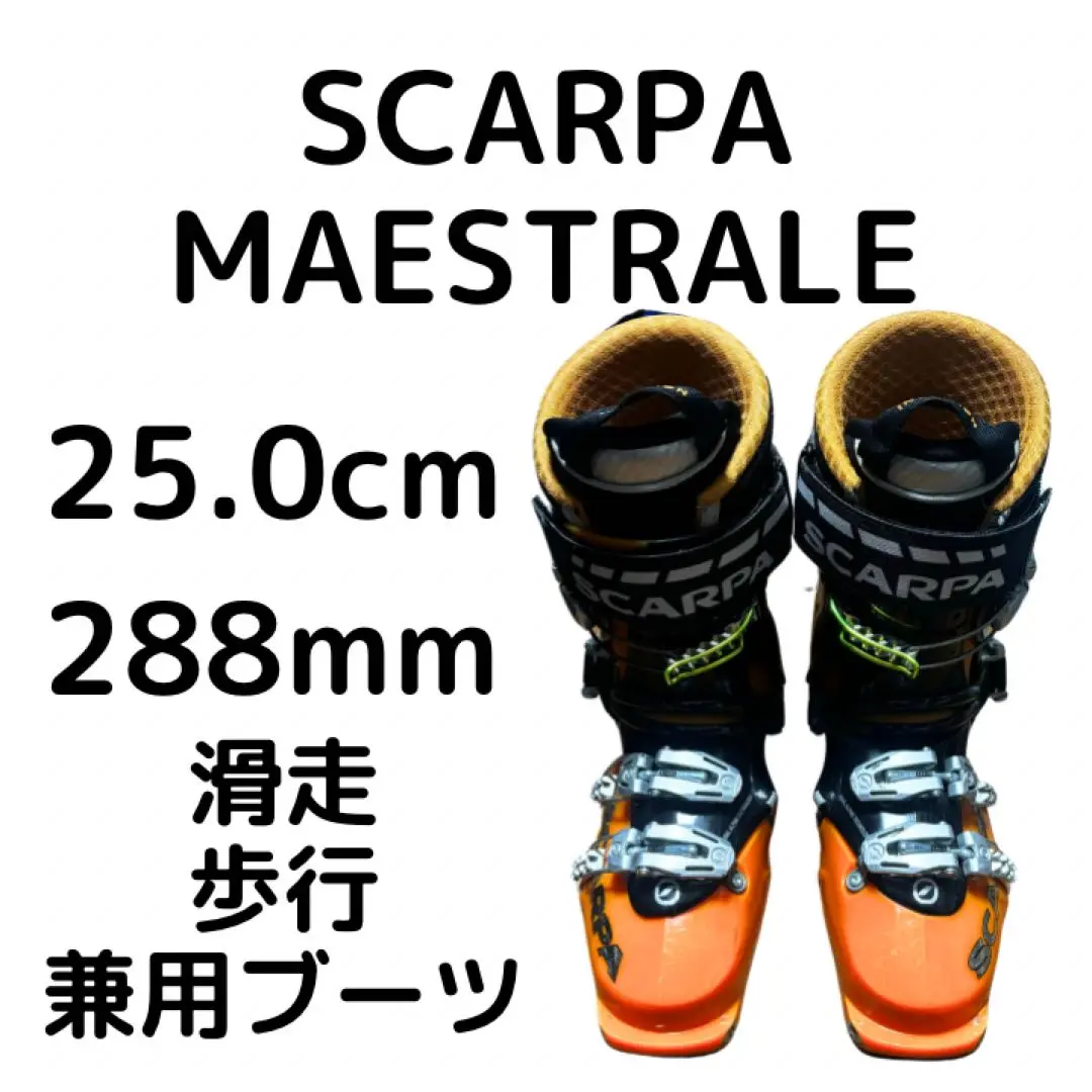 2025年最新】Scarpa マエストラーレの人気アイテム - メルカリ