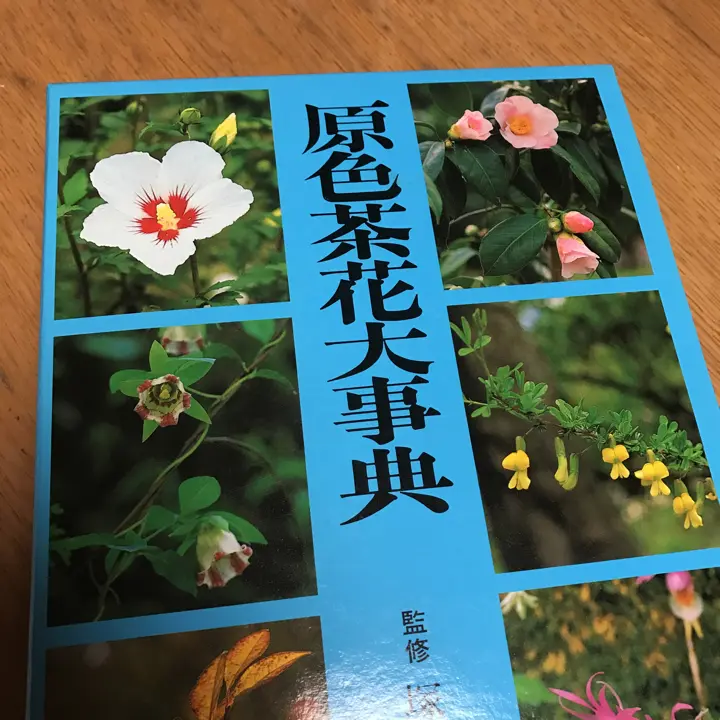 原色茶花大事典 原色茶花大事典 |本 | 通販 | Amazon