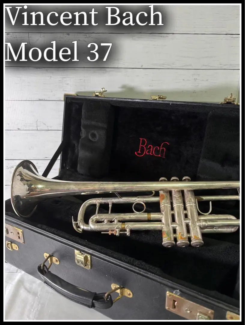 2025年最新】STRADIVARIUS bach 37の人気アイテム - メルカリ