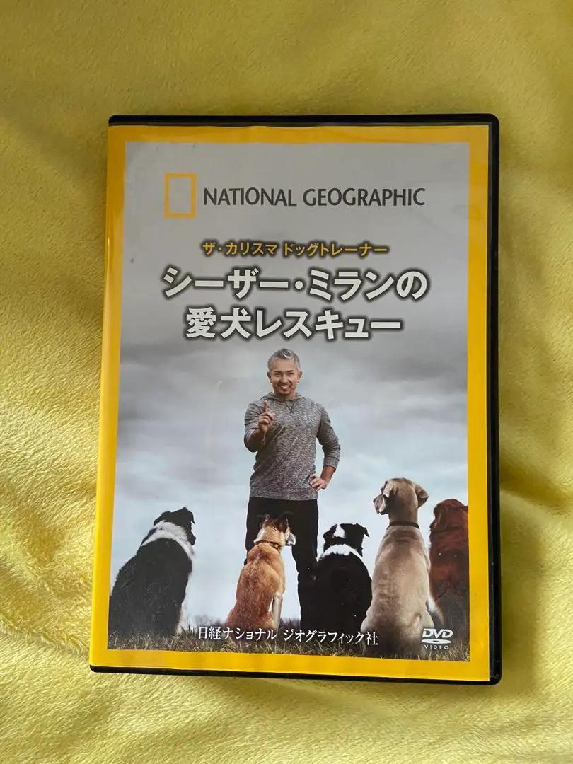 シーザー・ミランの犬のトラブル解決ショーほか DVD 3枚セット DVD ザ・カリスマドッグトレーナー シーザー・ミランの愛犬