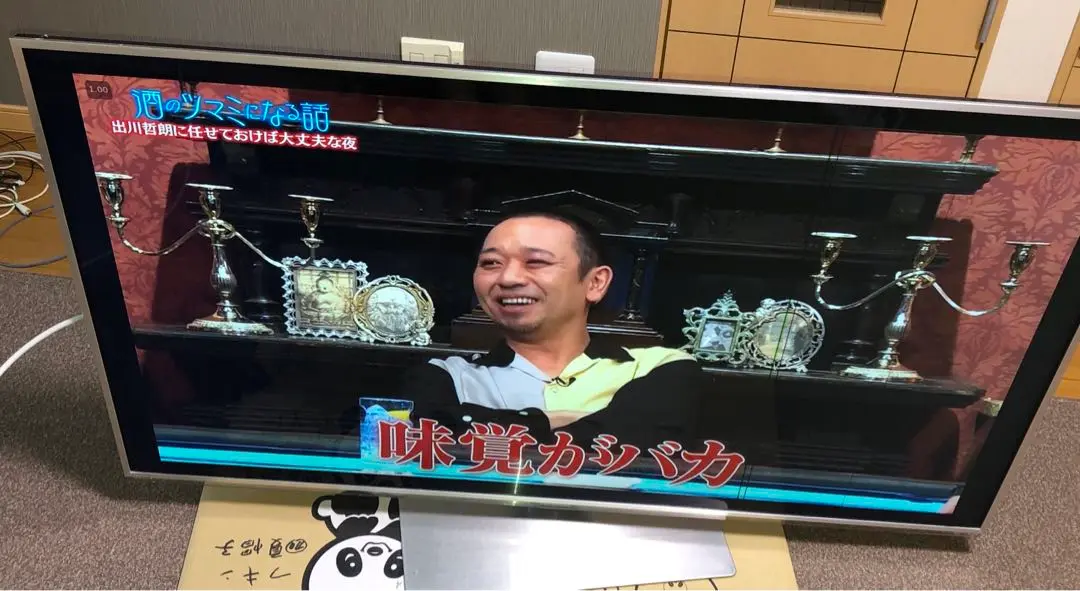 や*車様 液晶テレビ　TH-L55DT5 概要 地上・BS・110度CSデジタルハイビジョン液晶テレビ