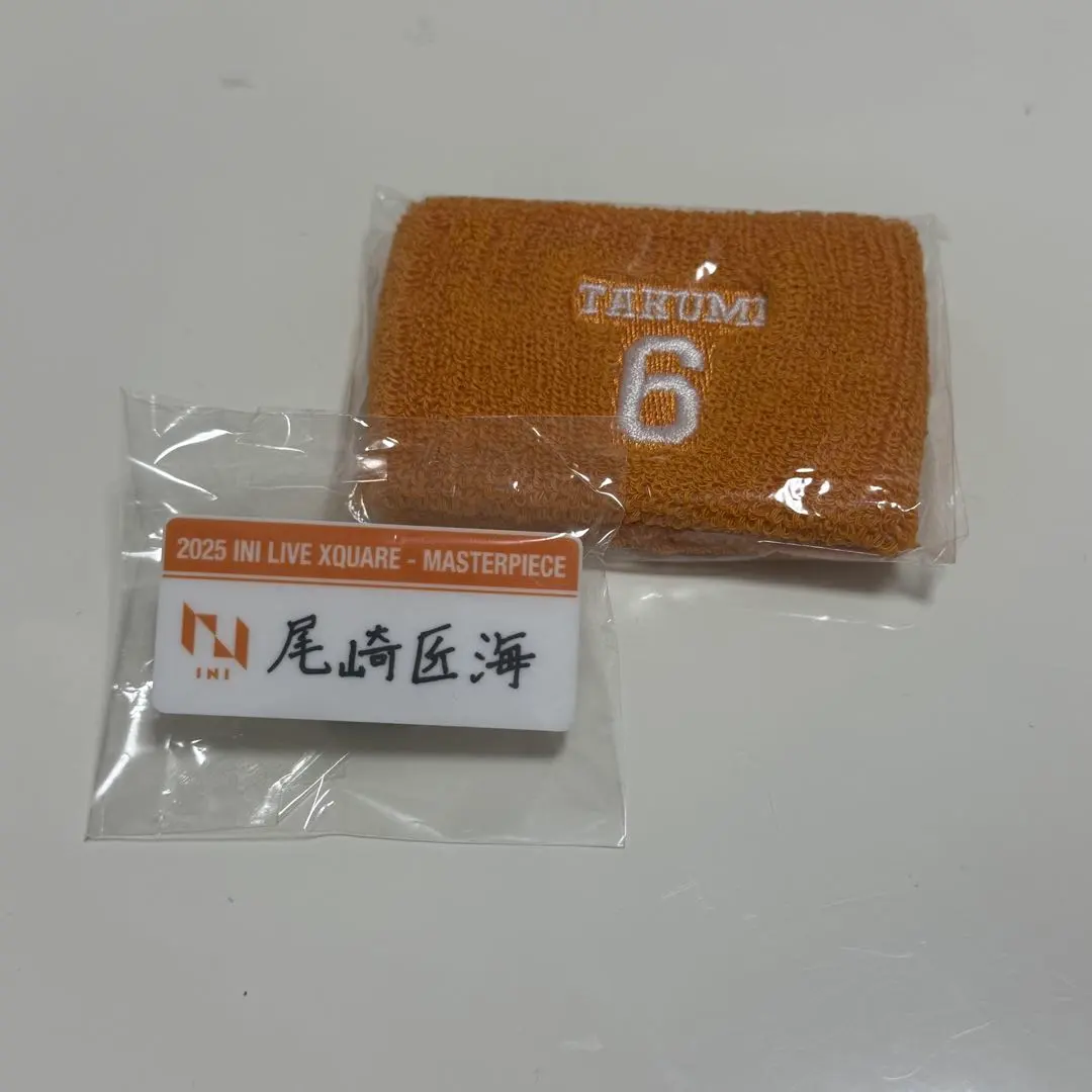 尾崎匠海 姓名牌 手環 的縮圖