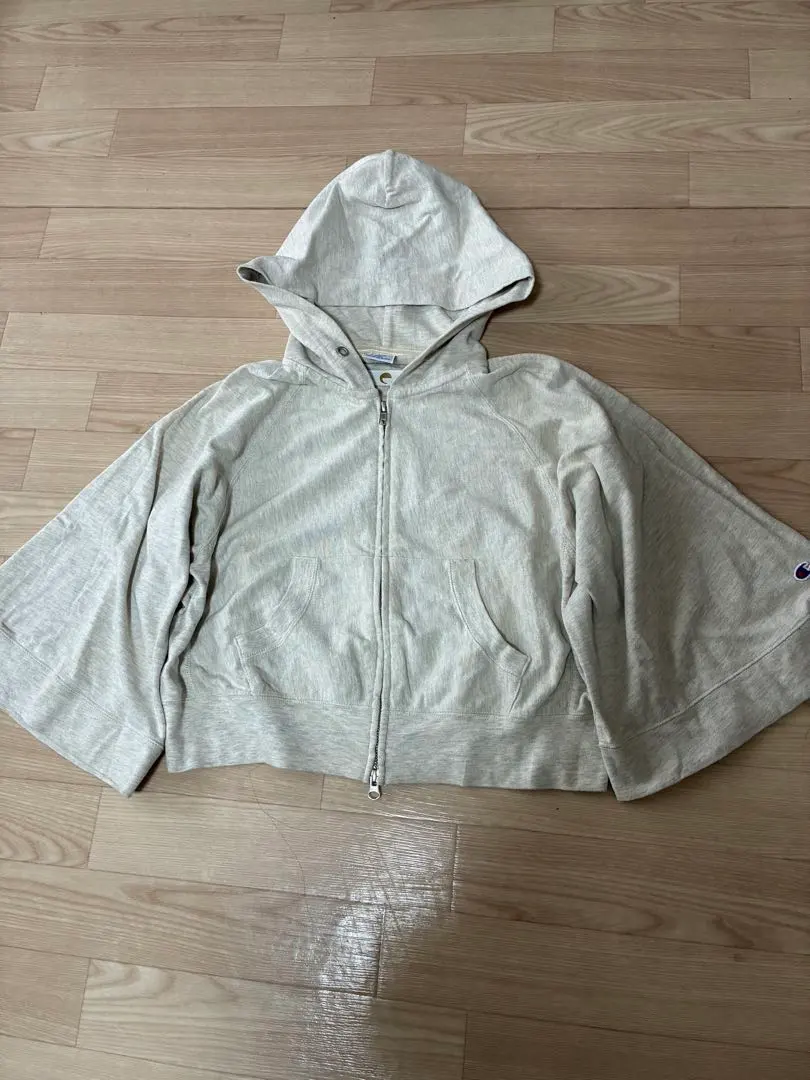 Thumbnail of Champion hooded sweatshirt