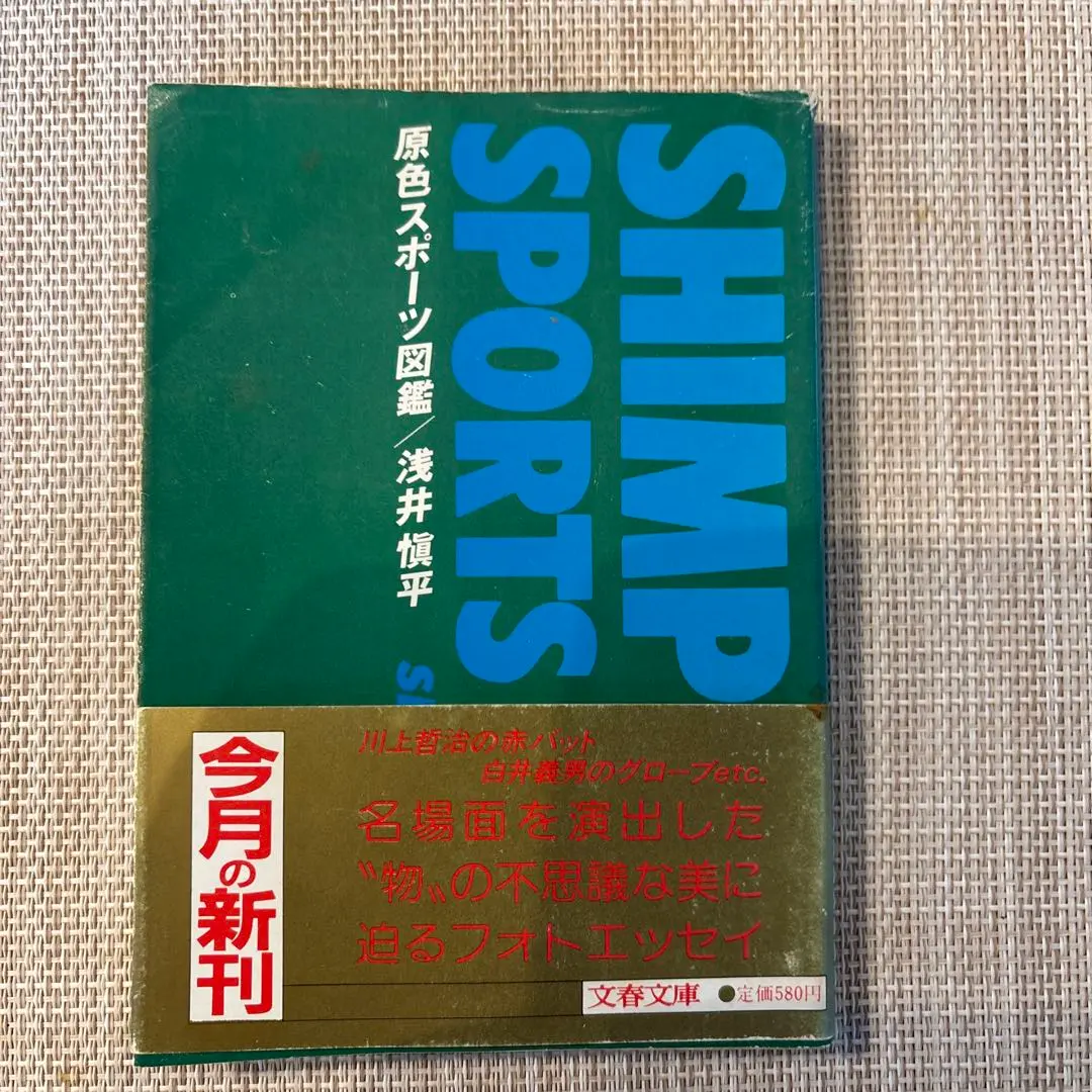 浅井慎平　写真集　1986年　SHADOW　大型本 浅井慎平 写真集 1986年 SHADOW 大型本 - メルカリ - アート