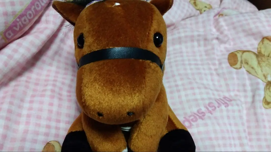 競馬　アイドルホース　マカヒキ　Mサイズ マカヒキ（中央競馬PRC アイドルホースぬいぐるみ マスコット