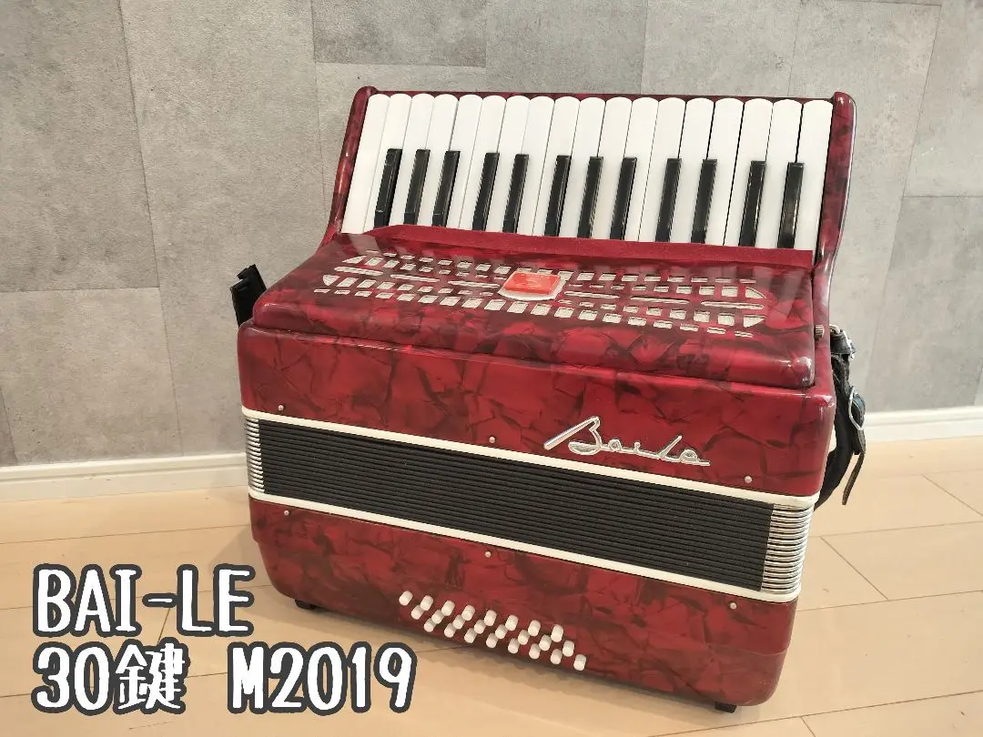 2025年最新】BAI-LE アコーディオンの人気アイテム - メルカリ