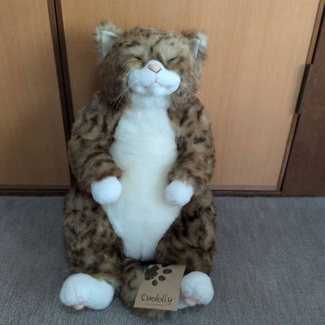 ちびピン Chibipin 猫のぬいぐるみ – Cuddly公式オンラインショップ