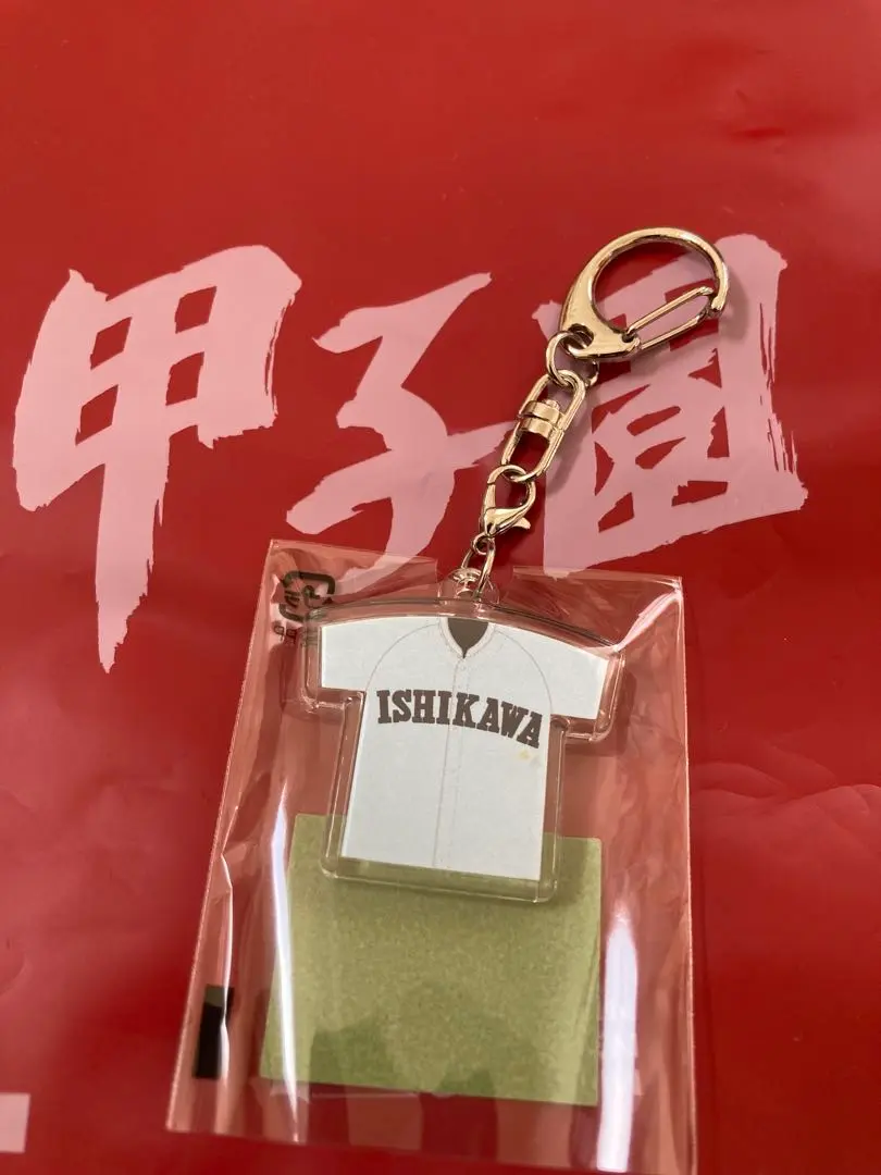 学法石川　日大東北　練習用Tシャツ　帽子 m85511669436_1.jpg?1723351036