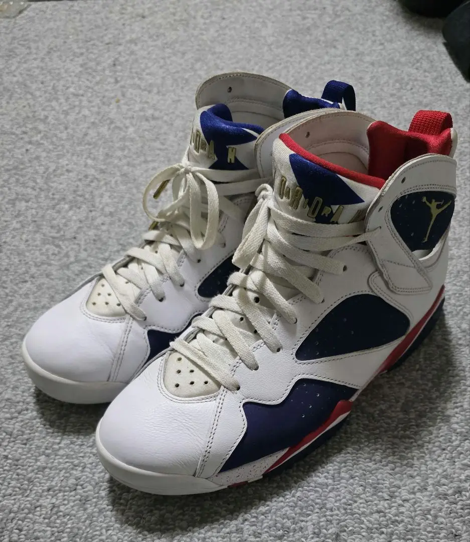 ☆良品★ ナイキ　エアジョーダン7 レトロ　ティンカー　オルタネイト　スニーカー New Kicks/スニーカー】NIKE AIR JORDAN 7 RETRO 