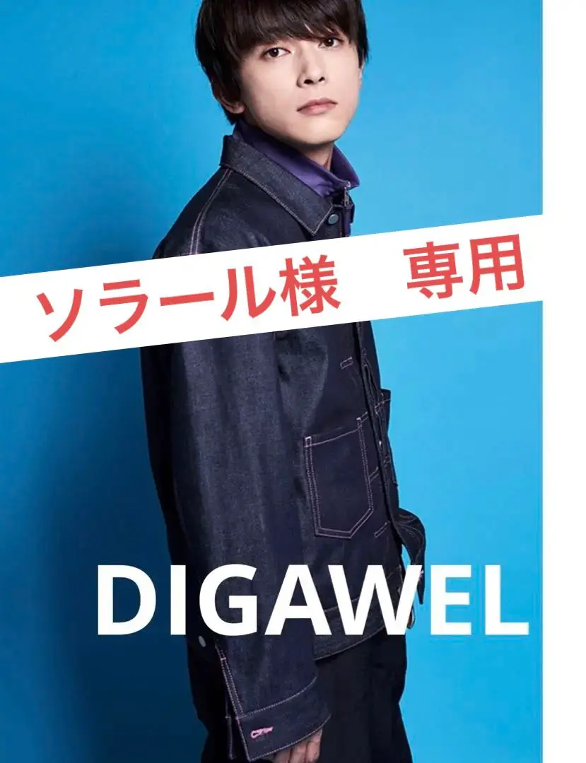 digawel デニムジャケット 美品 短丈 ディガウェル digawel デニムジャケット 美品 短丈 ディガウェル