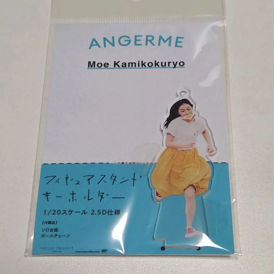 2025年最新】アンジュルムックの人気アイテム - メルカリ