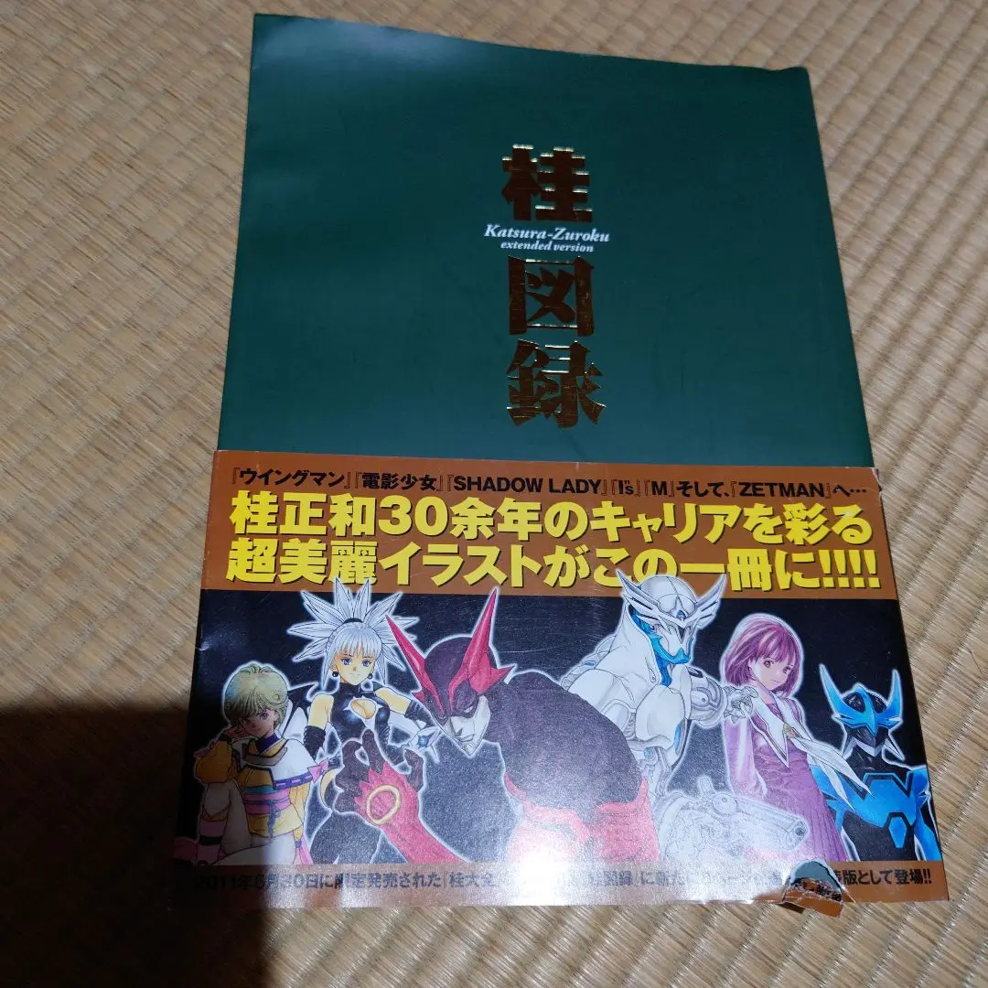 絶版 初版本 桂正和 YJ愛蔵版 桂図録 extended version 桂図録 extended version (愛蔵版コミックス) | 桂 正和 |本