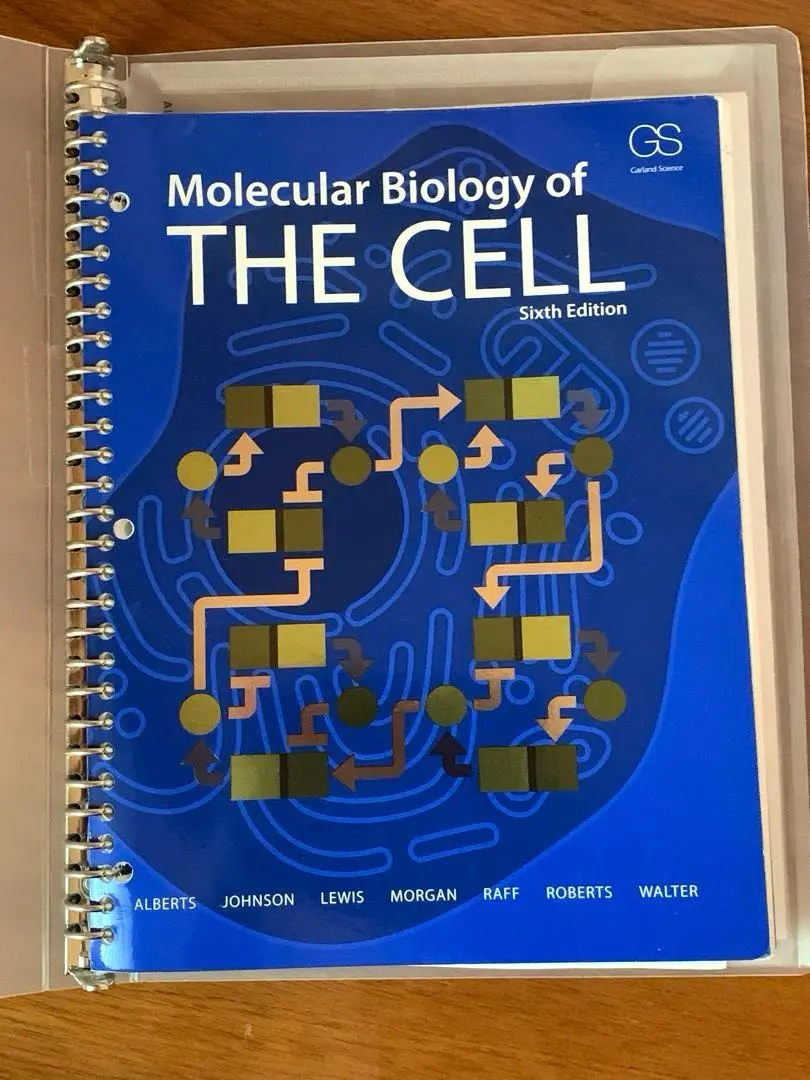 2025年最新】細胞の分子生物学 第6版の人気アイテム - メルカリ
