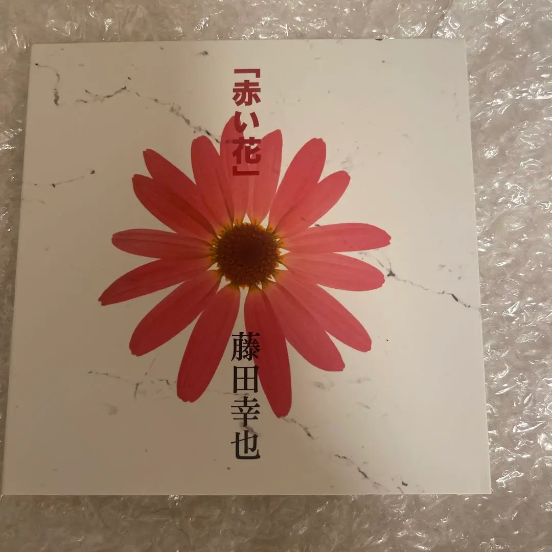 JILS 赤い花 アコースティックバージョン D≒SIRE 藤田幸也 Kαin JILS 赤い花 アコースティックバージョン D≒SIRE 藤田幸也 Kαin